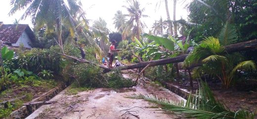 Antisipasi Penyebaran Covid-19 di Tengah Bencana Puting Beliung, BPBD Lamtim Tekankan Prokes