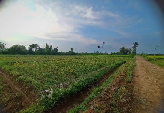 Harapan petani kecil dan agrowisata