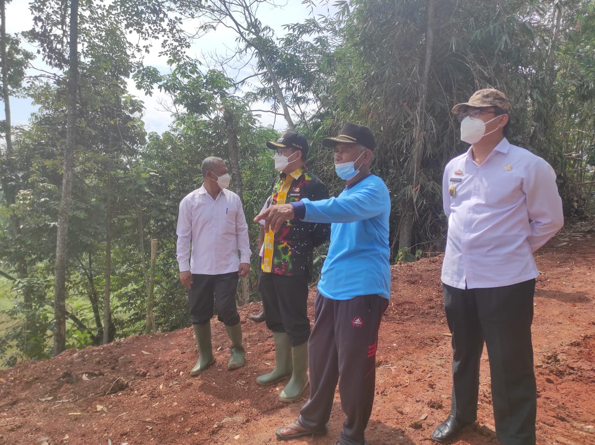 Walikota Metro tinjau area sawah di Tejoagung