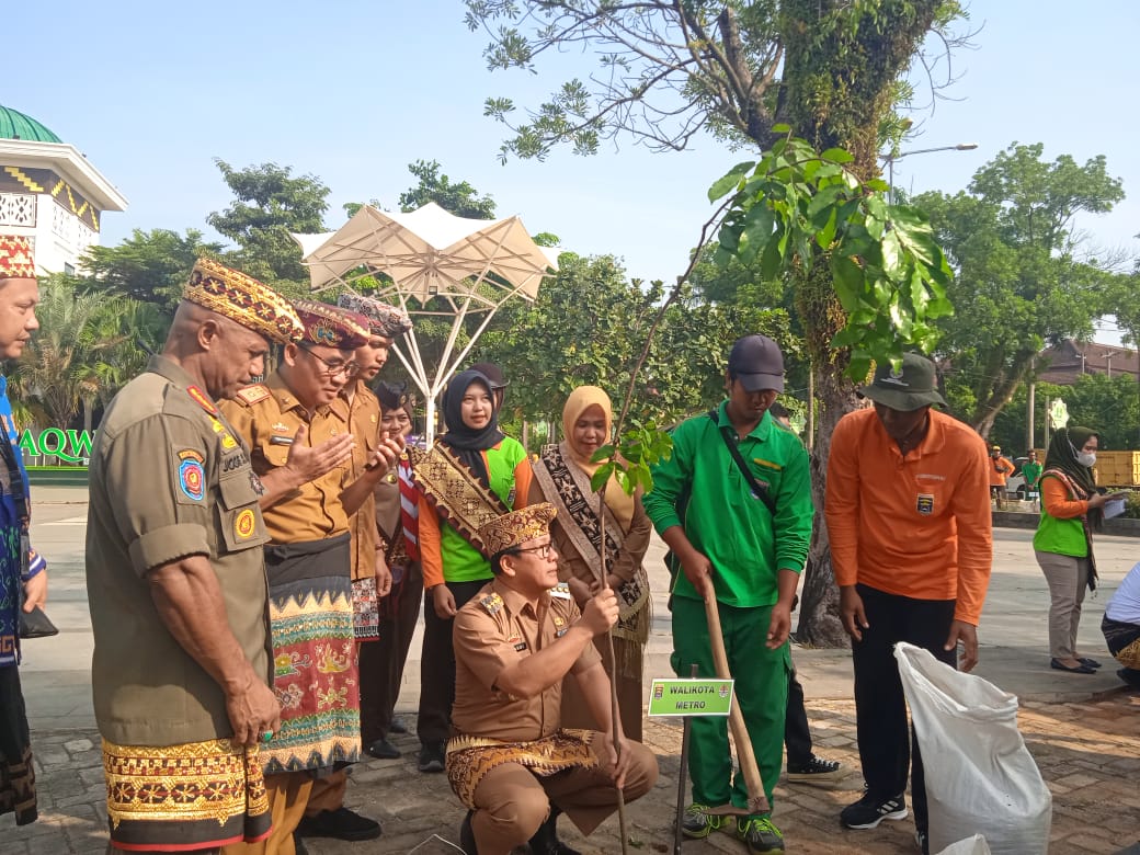 Peringati HLH, Pemkot Metro tanam 15 bibit pohon saputangan Peringati HLH, Pemkot Metro tanam 15 bibit pohon saputangan
