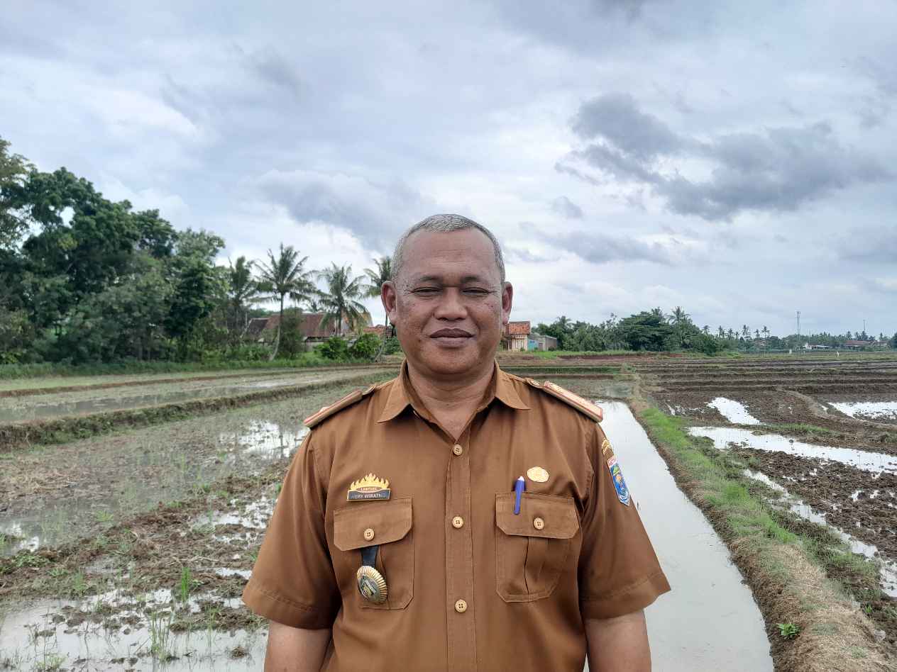 Stok pangan dan keamanan pangan di Metro dijamin aman untuk Nataru