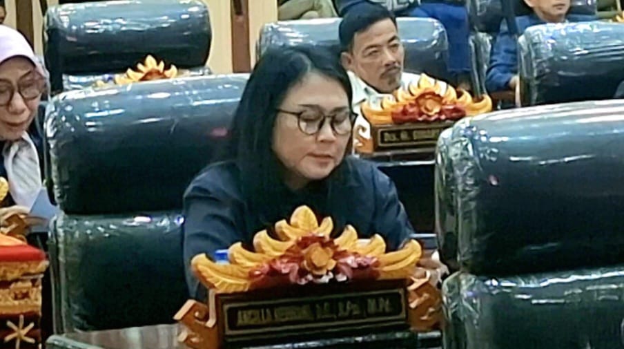 KLB DBD di Metro: DPRD soroti kesiapan Dinkes dan RSUD