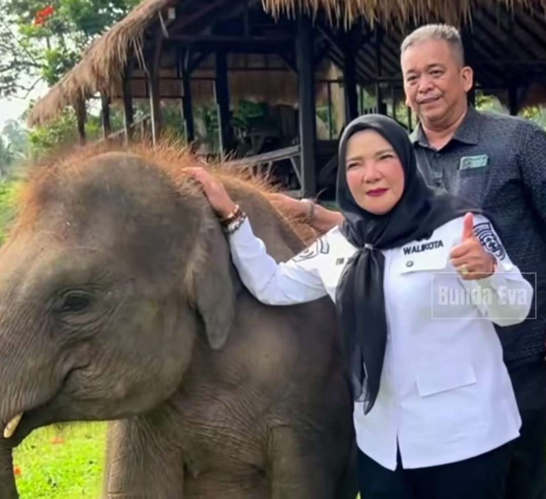 Tak perlu jauh ke Way Kambas, Eva Dwiana promosikan konservasi satwa lokal Bandar Lampung Tak perlu jauh ke Way Kambas, Eva Dwiana promosikan konservasi satwa lokal Bandar Lampung
